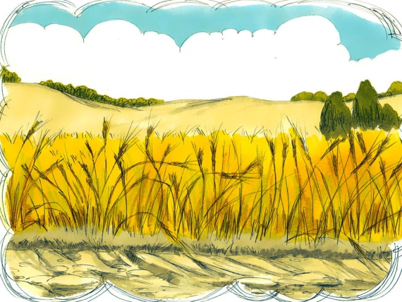 The Parable of the Sower