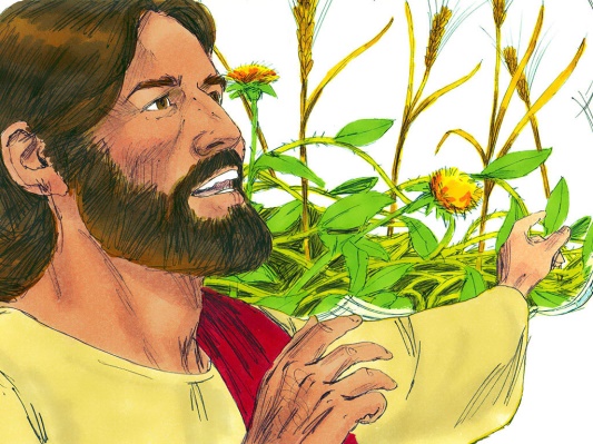 The Parable of the Sower